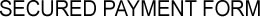 Secured Payment Form
