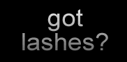 GOT false eyelashes including ardell lashes,  andrea lashes, and more.