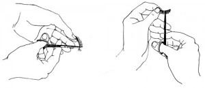 Above: Lashes being trimmed (left) and feathered (right) (Modified from Gerson, 1992).