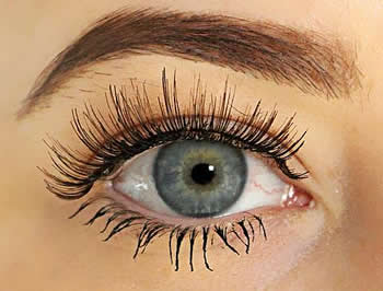 ARDELL Chocolate Lashes Black Brown