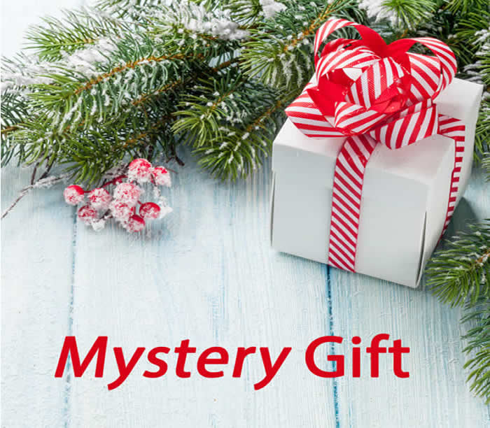 Mystery Gift Offer