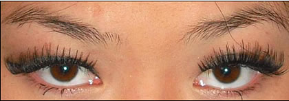 Duo Lash # duo professional lash D12