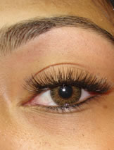 Model wearing Individual EyelashesARDELL BlackShort to Medium Blend.