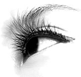 Sign-up for our exclusive monthly mailing list for Ardell lashes + false eyelashes discount delivered to your e-mail inbox.