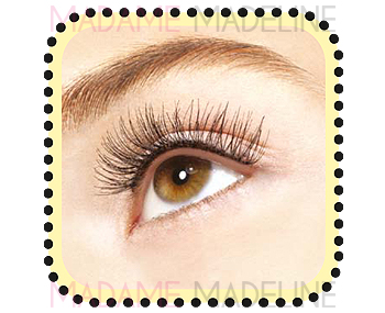 z.Katy Perry Lashes - Oh Honey